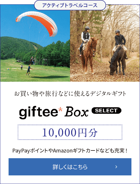 お買い物や旅行などに使えるデジタルギフトgiftee Box SELECT 10,000円分 詳しくはこちら