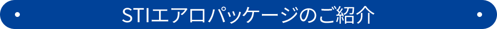 STIエアロパッケージのご紹介