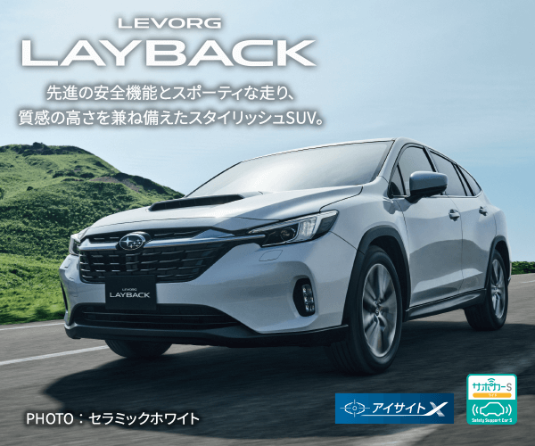LEVORG LAYBACK