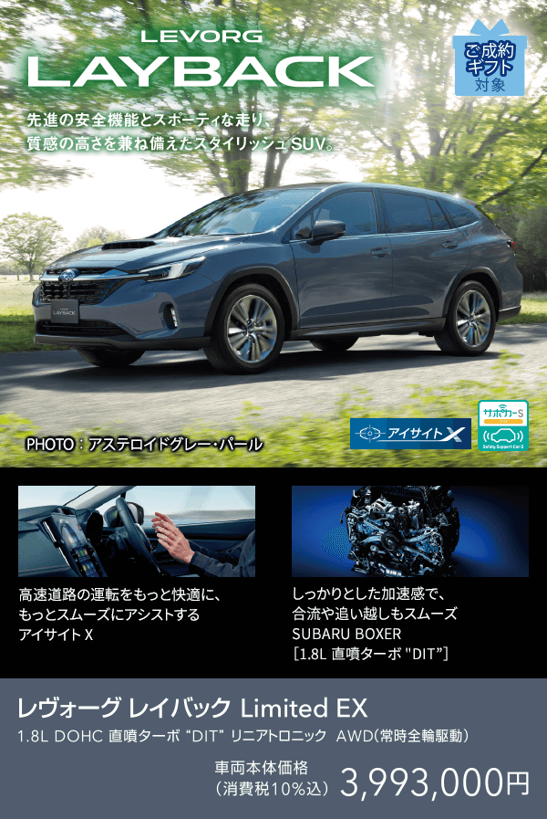 LEVORG LAYBACK Limited EX